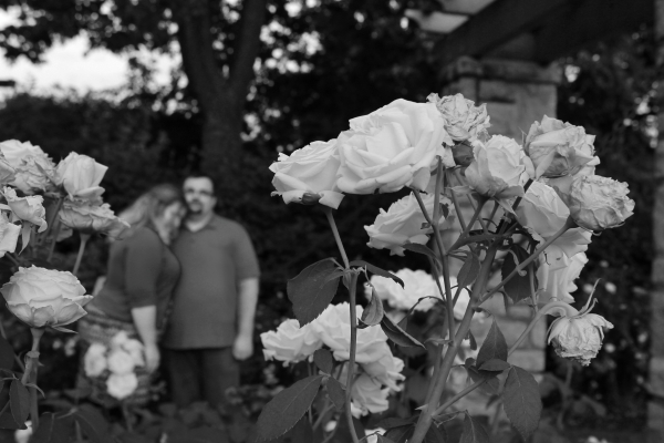 engagement photo roses