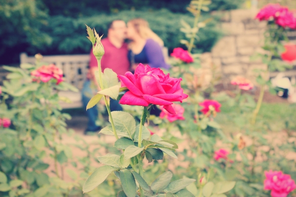 engagement photo roses